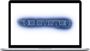 Todd – The System