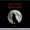 Aesthetic Vibes – The Secret Seduction