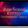 Energy Programmer – Raw Sexual Energy - The Primordial Source
