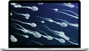 Law Energy Fields – Maximum Sperm Production - Energy Charged