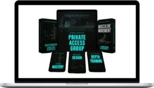 ZenityArts – Reaction And Response